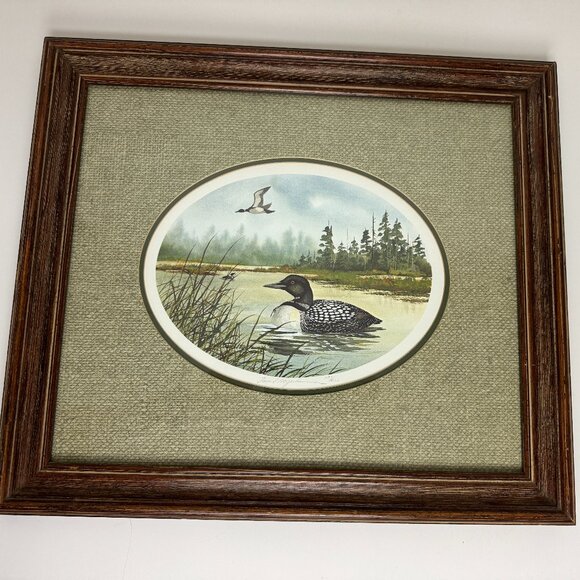 Vtg Artist David Hagerbaumer Loon Bird Duck Print Signed Numbered Frame Wall Art